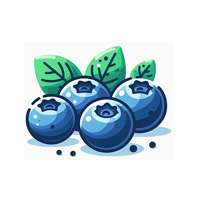 蓝莓