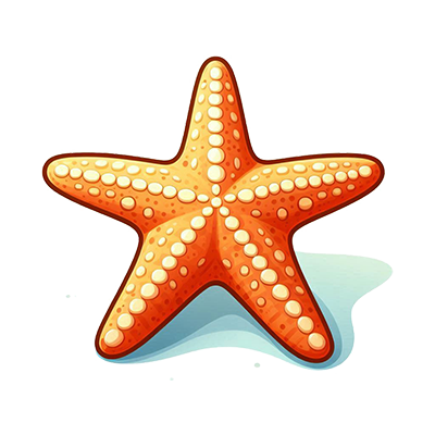 海星